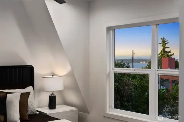 Lake WA & Mountain Views