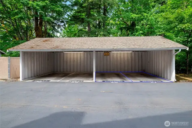double carport included with adjacent double guest parking