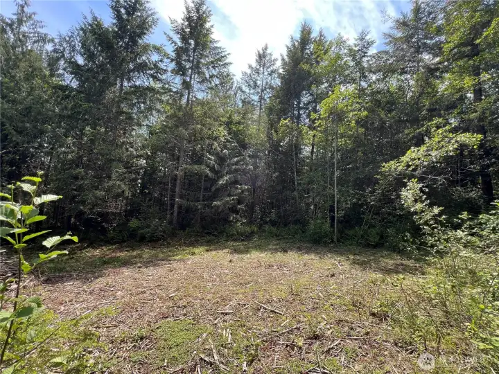 Secluded homesite in the woods !
