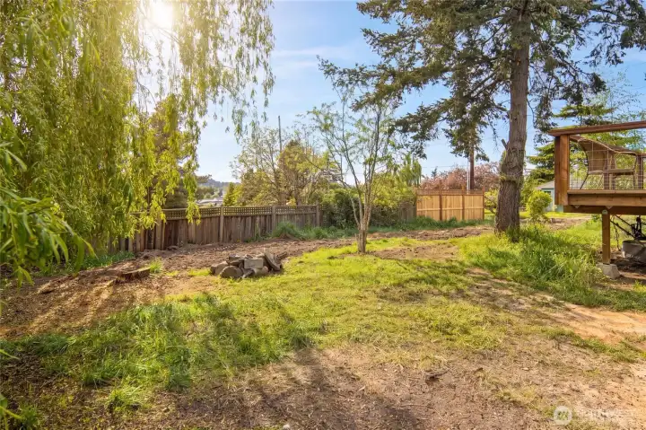The generously sized, fenced backyard offers a blank canvas for outdoor living, gardening, or future development, framed by mature weeping willow and evergreen trees with dappled afternoon light.