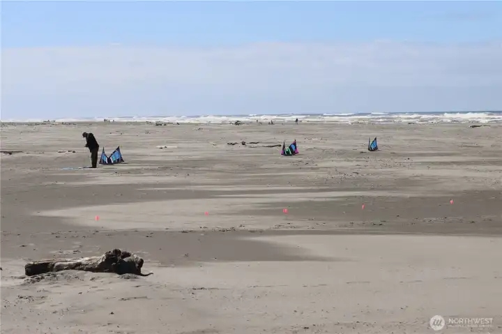 Imagine yourself here for 4th of July! Sandsations! Kite Fest!