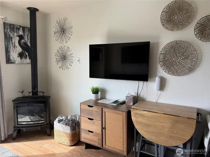 Electric fireplace and TV