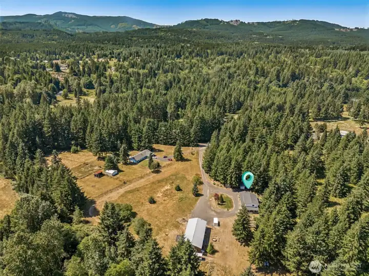 One of the reasons people fall in love with this area is because it offers the best of both worlds. This aerial view highlights the privacy, space, and natural beauty of the property, while also reminding you that you're far closer to modern conveniences than you might expect. The circular driveway creates easy access for guests and daily life, while the surrounding acreage provides room to breathe. Yet in less than 5 minutes you can be grabbing a coffee at the local drive-thru favorite Hobbit House of Coffee, or in 15 minutes stocking up at Costco, browsing Trader Joe's, or enjoying dinner and a show in downtown Olympia. Waterfront restaurants, theaters, festivals, shopping, and everyday services are all surprisingly close. It's the kind of location that lets you enjoy a rural lifestyle without feeling disconnected from everything you love.