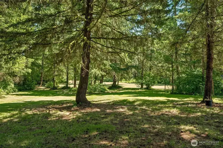 One of the greatest luxuries this property offers is something you can't build: a mature landscape that's been growing for decades. Towering evergreens create beautiful pockets of dappled sunlight, winding views, and a peaceful sense of privacy that welcomes you home every time you travel the long driveway. It's a setting that changes with the seasons yet always feels unmistakably Pacific Northwest. Nature lovers will also appreciate being just a few miles from the remarkable Black River Wildlife Area, where trails wind through wetlands and forest habitats rich with waterfowl, migratory birds, upland game birds, wildlife viewing opportunities, fishing, and seasonal recreation. Living here means your own five-acre retreat is only the beginning of the outdoor adventures waiting nearby.