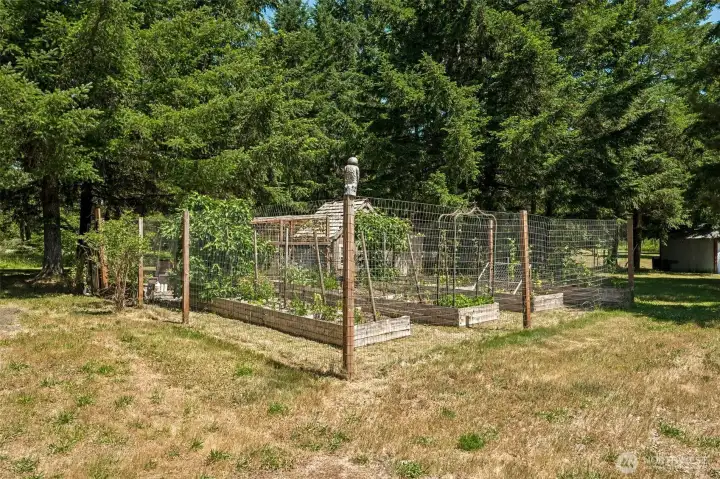 Here's another look at the fenced garden area that's ready for everything from fresh vegetables and herbs to colorful flowers and future harvests. With raised beds already established, you can spend less time building and more time growing. And if inspiration strikes, you're in luck. Home Depot, Walmart, and Fred Meyer garden centers are all about 15 minutes away, making it easy to pick up plants, soil, tools, or that one thing you absolutely weren't planning to buy. When it's time to reward yourself after a productive day in the garden, Black Lake is also just 15 minutes away. Launch the boat, cast a fishing line, cool off with a swim, or spend the afternoon wake surfing and jet skiing.
