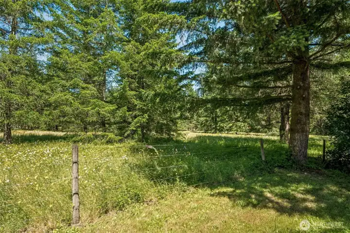 Freedom is one of the greatest luxuries acreage can offer, and this property delivers exactly that. The existing fenced areas provide an excellent starting point for whatever your vision may be, whether that's creating pasture for animals, expanding the gardens, adding recreational spaces, or simply enjoying the peace and privacy that five acres provide. Best of all, there isn't an HOA waiting to hand you a list of restrictions. Here, your property gets to reflect your lifestyle. Build your dream hobby farm. Park your RV. Create outdoor gathering spaces. Plant more fruit trees. Design the estate you've always imagined.
