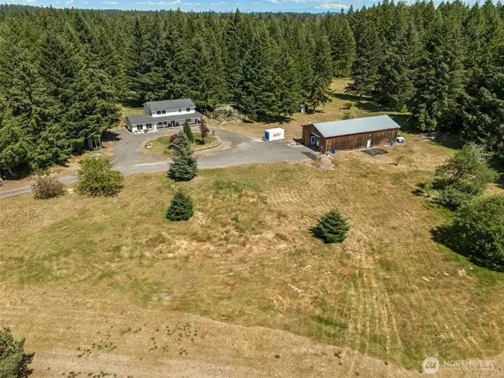 The beauty of five acres is that you don't have to decide today what you want the property to become tomorrow. This expansive open area offers flexibility that's increasingly difficult to find, whether your vision includes animals, gardens, outdoor recreation, additional landscaping, or simply preserving the open space and enjoying the tranquility. The grassy meadow-like setting creates a beautiful contrast to the surrounding evergreens and provides plenty of room for future dreams to grow. And then there's the orchard. Scattered throughout the property you'll discover an impressive variety of established fruit and nut trees, including quince, pears, olives, peaches, apples, plums, filberts, crabapples, honeyberries, figs, tangerines, and more. Every season brings something new to enjoy.