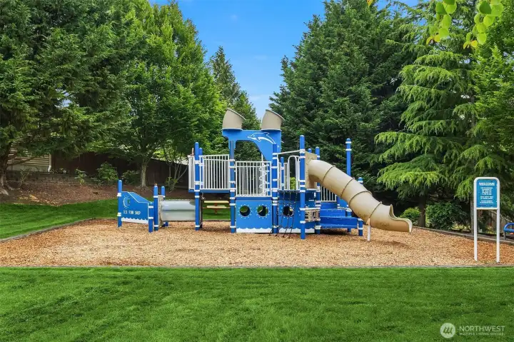 Playground Park next door