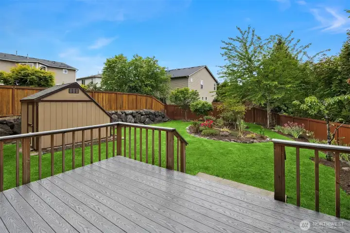 Back Deck