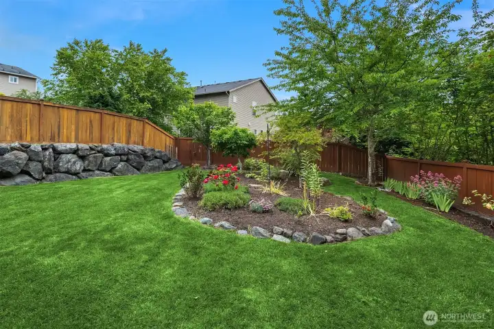 Backyard, Manicured Garden
