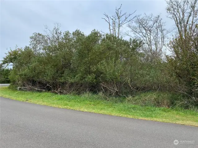 Looking toward property from Rainbow Court