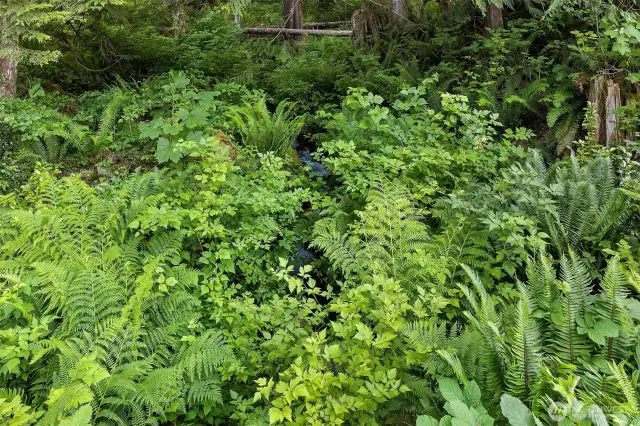 Wooded creak with a 5' waterfall runs along the easter side of the property.  This is a natural spring that, in the past, supplied water to the Harmon Heights families.