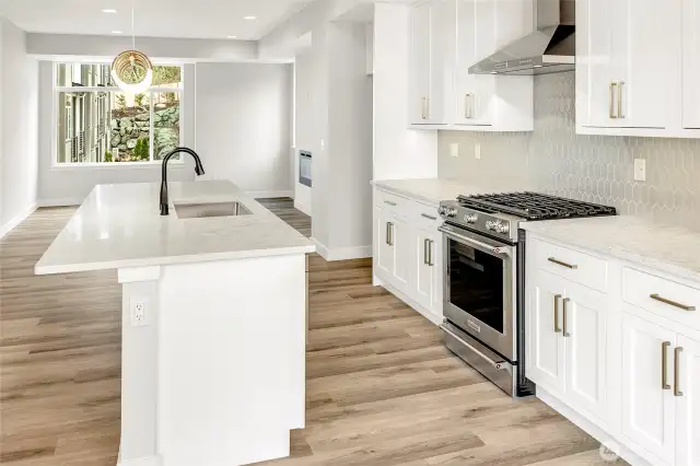 Gas cooktop w/steel hood vent