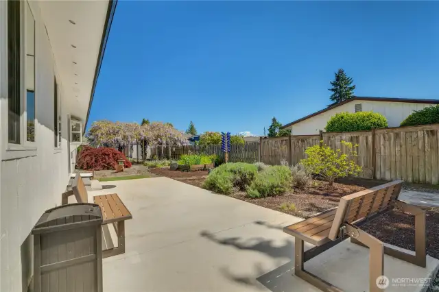 Newly poured concrete patio and extensive garden space.