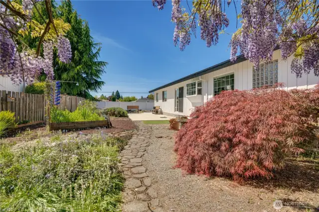 View of backyard.