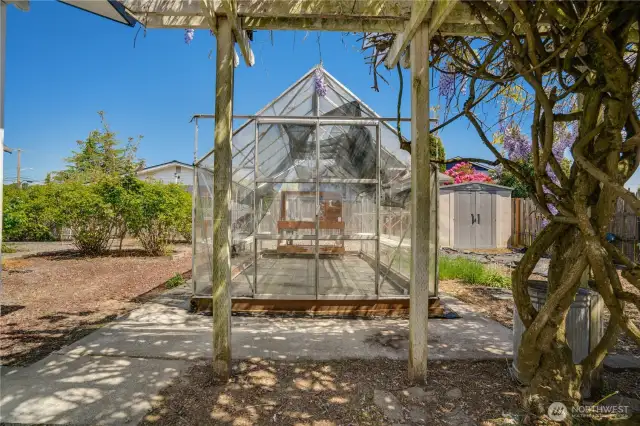 Greenhouse to winter over your plantings.