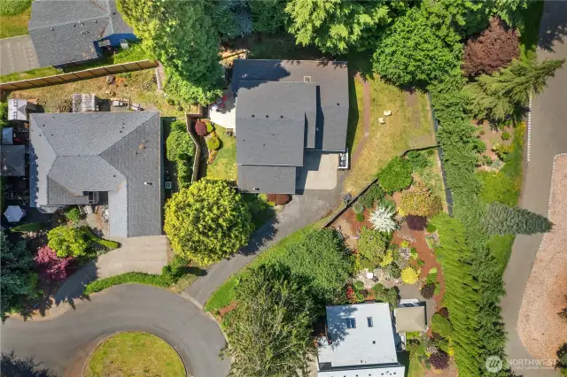 Aerial shot.