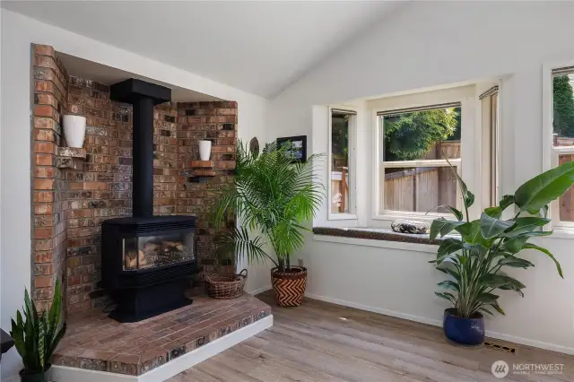 Cozy gas stove for winter nights!