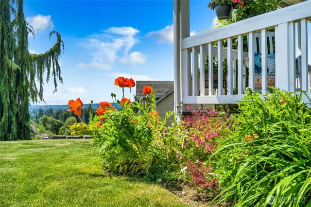 Matured landscaping.