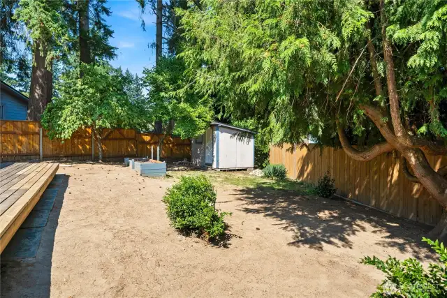 Fully fenced backyard framed by evergreens for natural privacy. Raised beds provide an opportunity for your own garden.