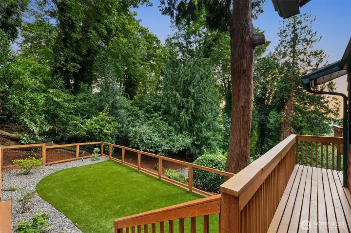 Turfed yard perfect for pets or kids.