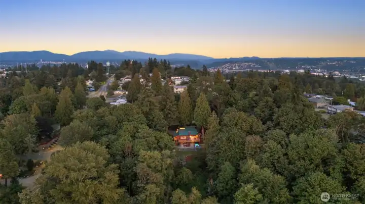 Truly a private, treed oasis.