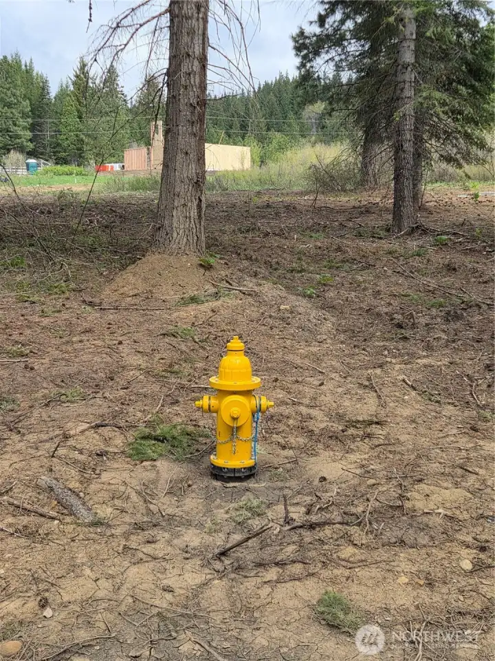 Fire hydrant