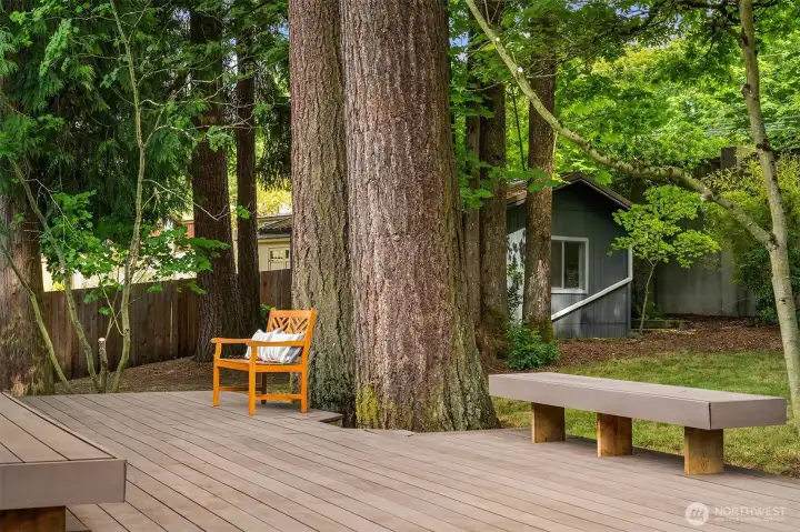 The large deck is ideal for enjoying the private back yard or entertaining in a scenic setting