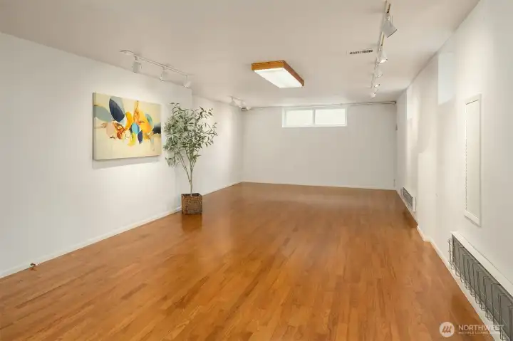 Huge lower level Bonus Room! So much great space! Game room? Work from home? Dance studio! Room enough to add a lower level ADU.