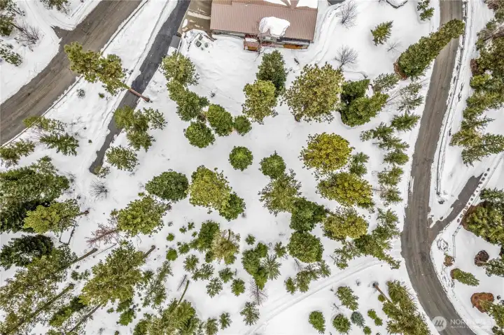 Photo from directly overheat.  View the private drive, adjoining lots with homes built.