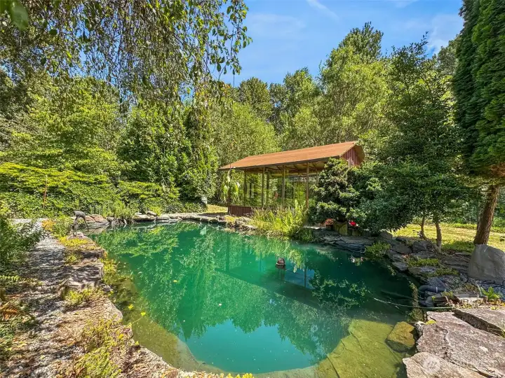 Koi pond Koi pond