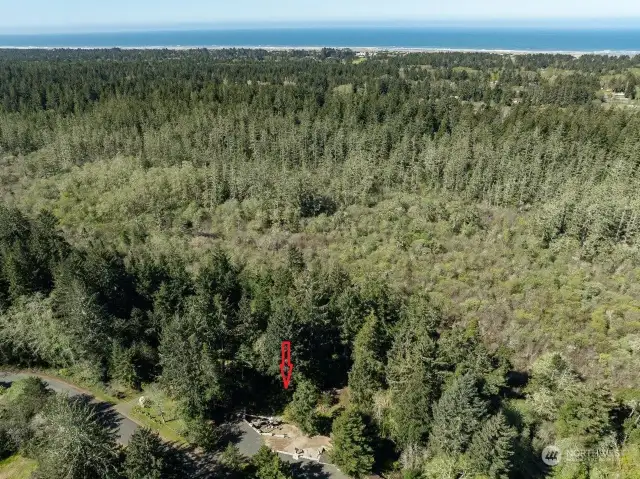 Arrow shows where the property is and the Pacific Ocean beyond.