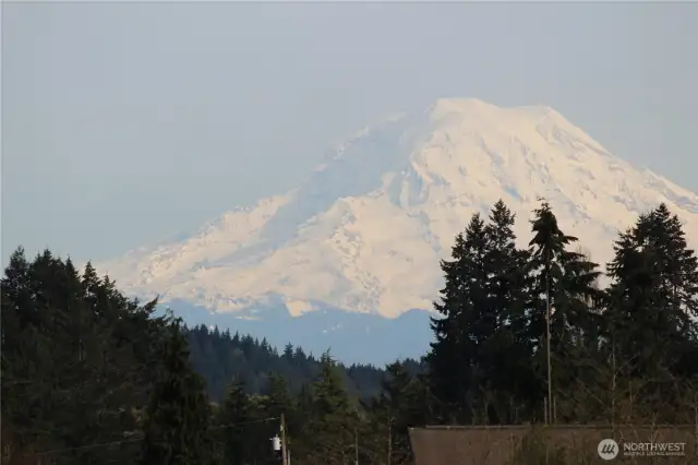 Mt. Rainier