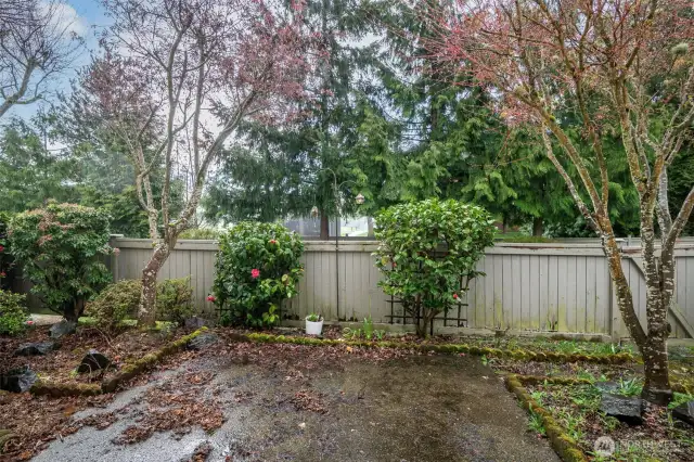 Back patio