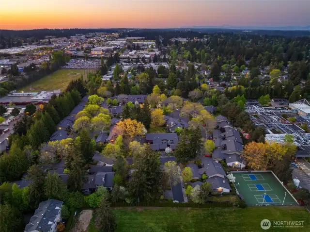 Enjoy this community's pickleball courts!