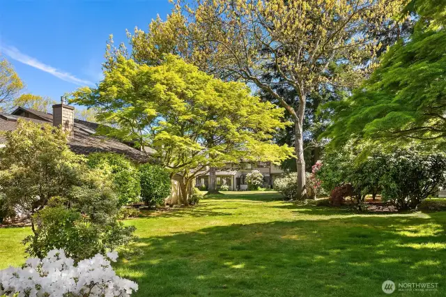 A daytime view of the lush parklike setting and view from your back patio.