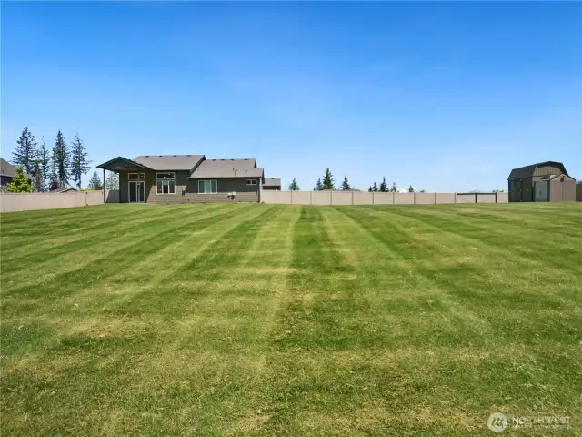 Such a nice big backyard.