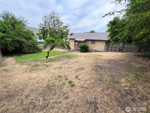 Fully Fenced back yard with shade trees and peach tree