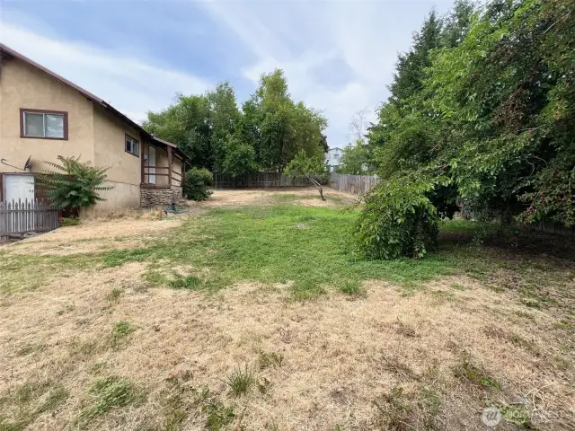 Fully Fenced back yard with shade, peach tree and mulberry bush to the right