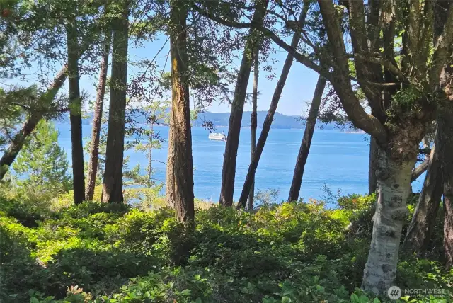 Bluff view with ferry in the distance