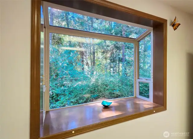 Kitchen garden window