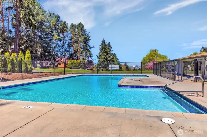 Summertime pool.