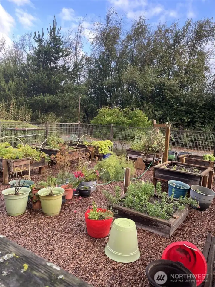 Fenced raised vegetable garden beds.