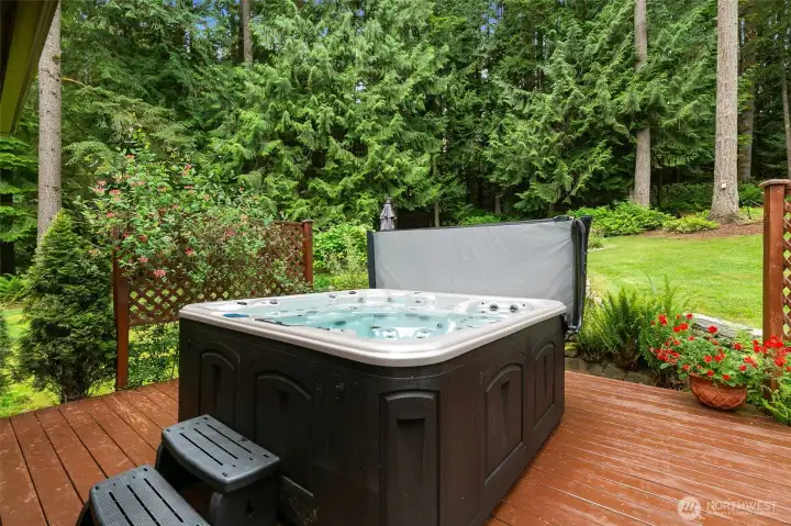 Extra large spa jacuzzi