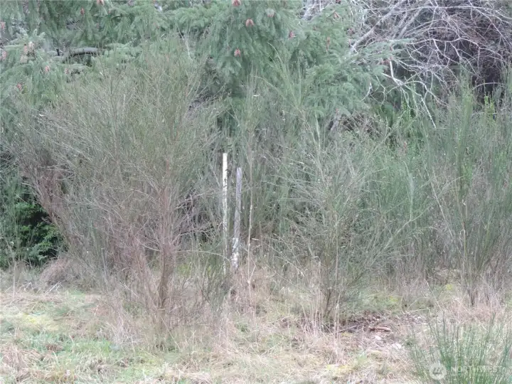 Right front corner of property