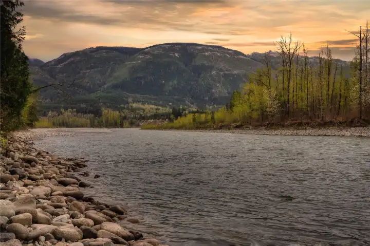 Exceptional river frontage, ideal for easy kayak launch, fishing, or swimming.