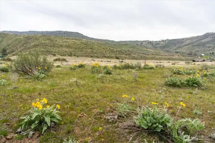3-4 acre flat pad on upper level of property