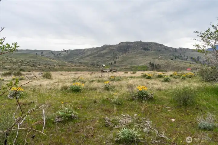 View of land on upper pad
