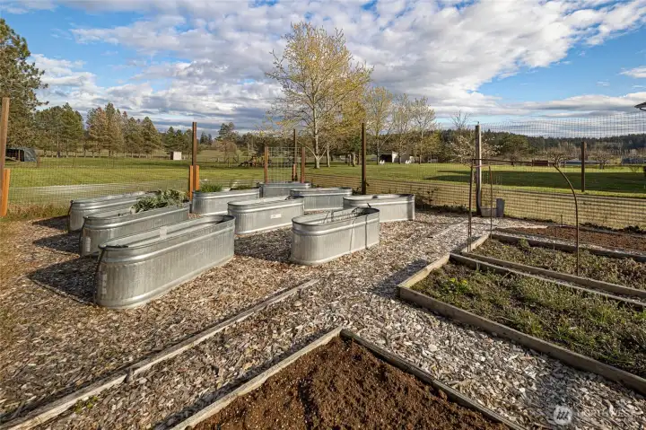 Garden beds with sprinkler and drip system