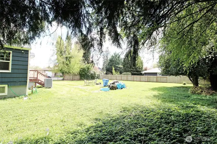 Oversized Outdoor Space